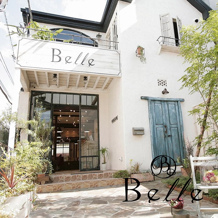 belle_151123