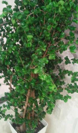 2011-06-24 19 53 56-1.jpg