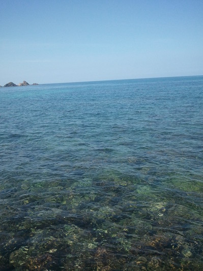 2012-09-13 12.19.49.jpg