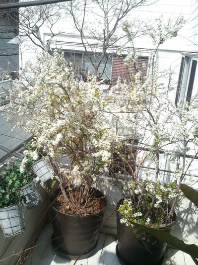 2013-03-15 10.33.43.jpg